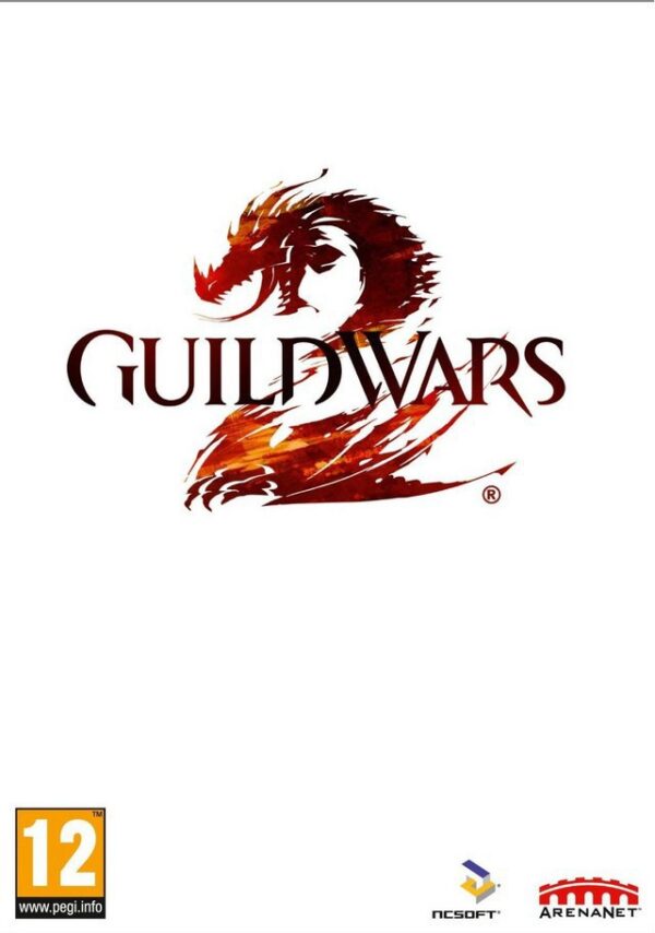 Guild Wars 2 PC USED