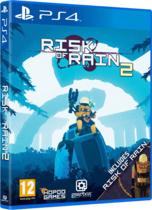 Risk of Rain 2 PS4 USED