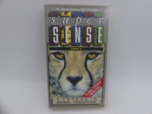 36bbc2aba11e4a87248334c45830d1c6