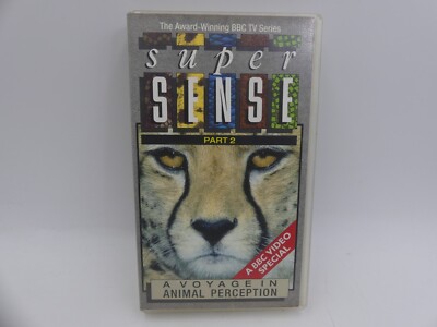 36bbc2aba11e4a87248334c45830d1c6