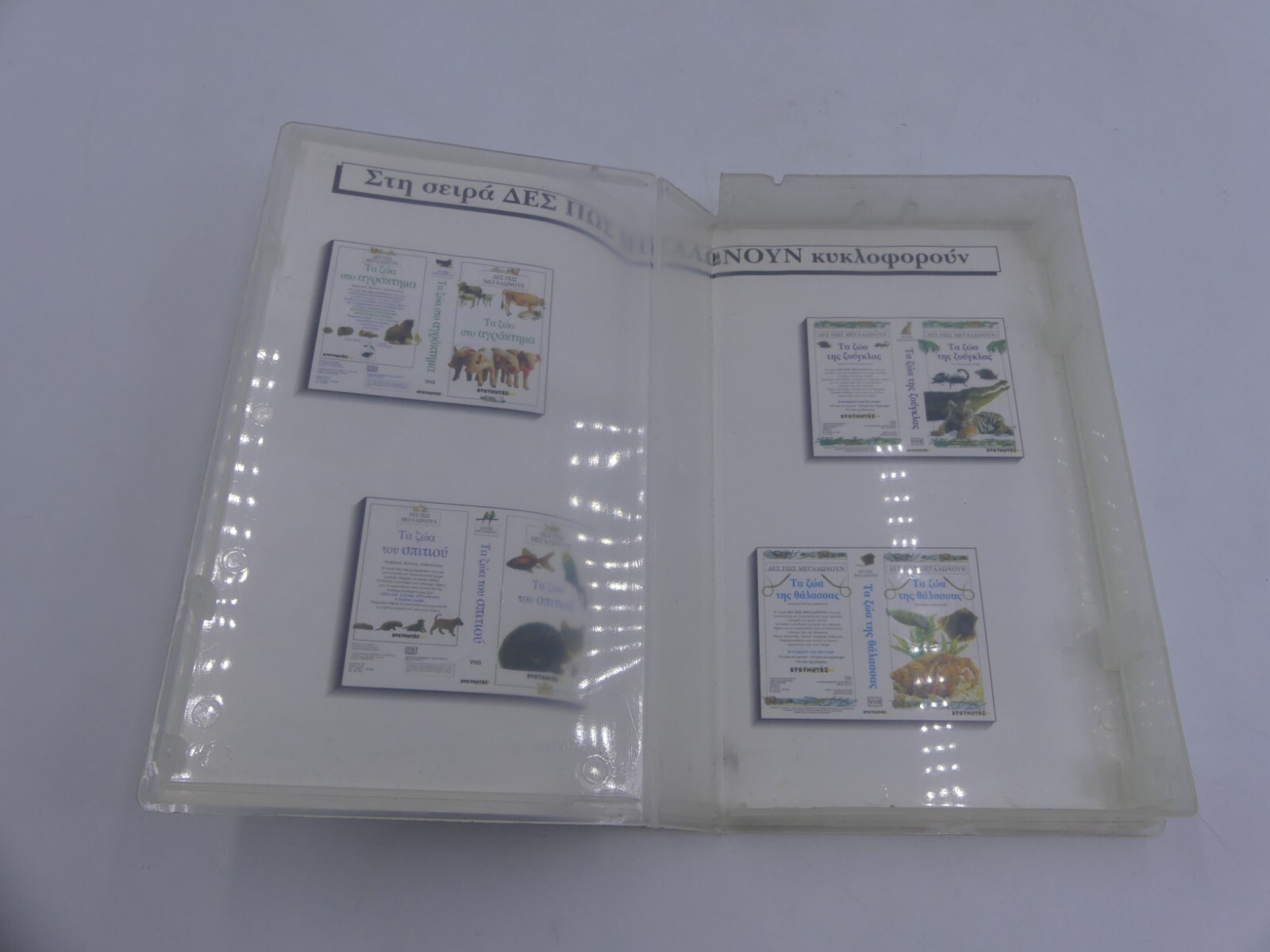 f32138d1bb1d284014aad3309e9fe0b5