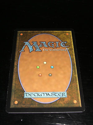 3b86ff11cc5624b61e2f21cbf9f812eb