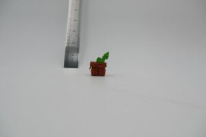 84ade42439d0fbd0b8f573a246b9403d