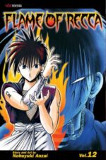 Flame of Recca, Vol. 12