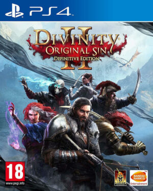 Divinity Original Sin II Definitive Edition PS4 USED DISC ONLY