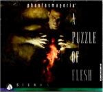 Phantasmagoria 2 A Puzzle of Flesh (Jewelcase) PC Game USED